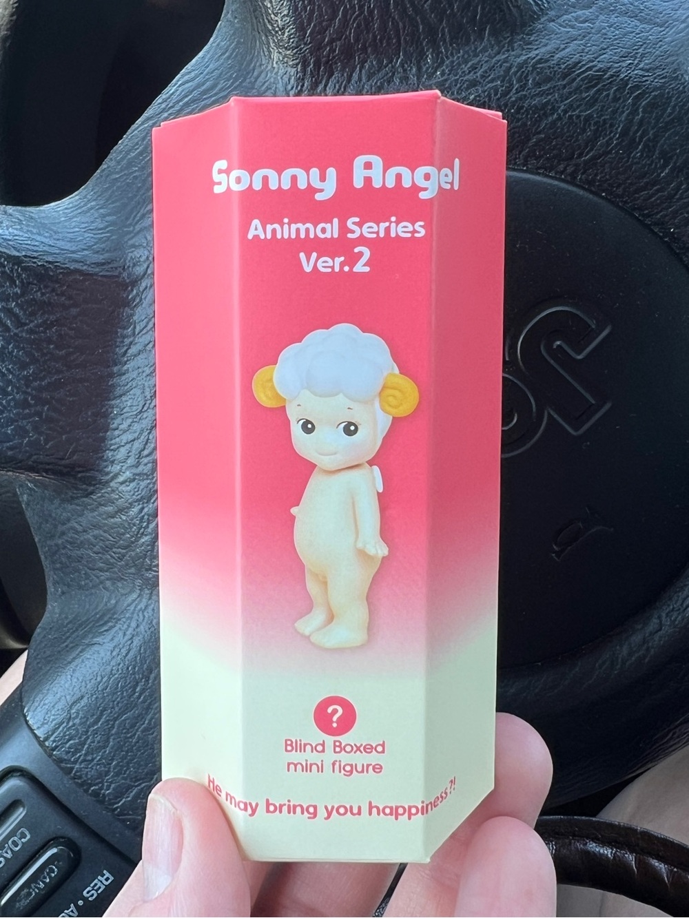 Sonny Angel Hedgehog!
